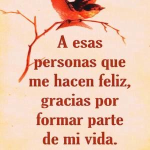 Meet your Posher, Minerva